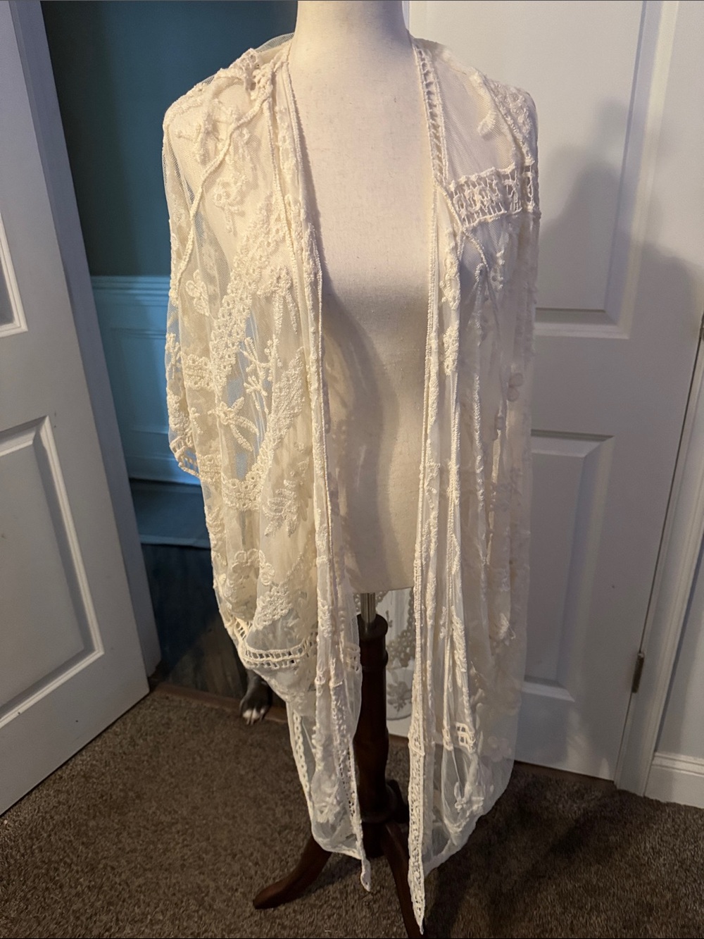 Sheer Lace Kimono Cover-Up in Ivory - Unbranded